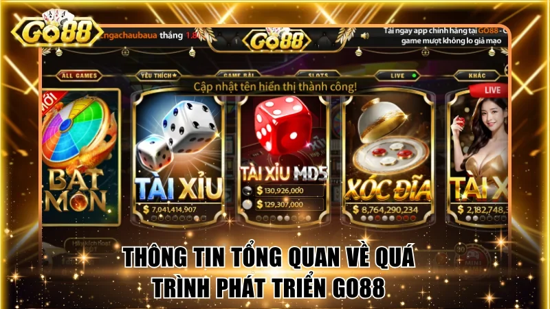Thông tin tổng quan về quá trình phát triển website